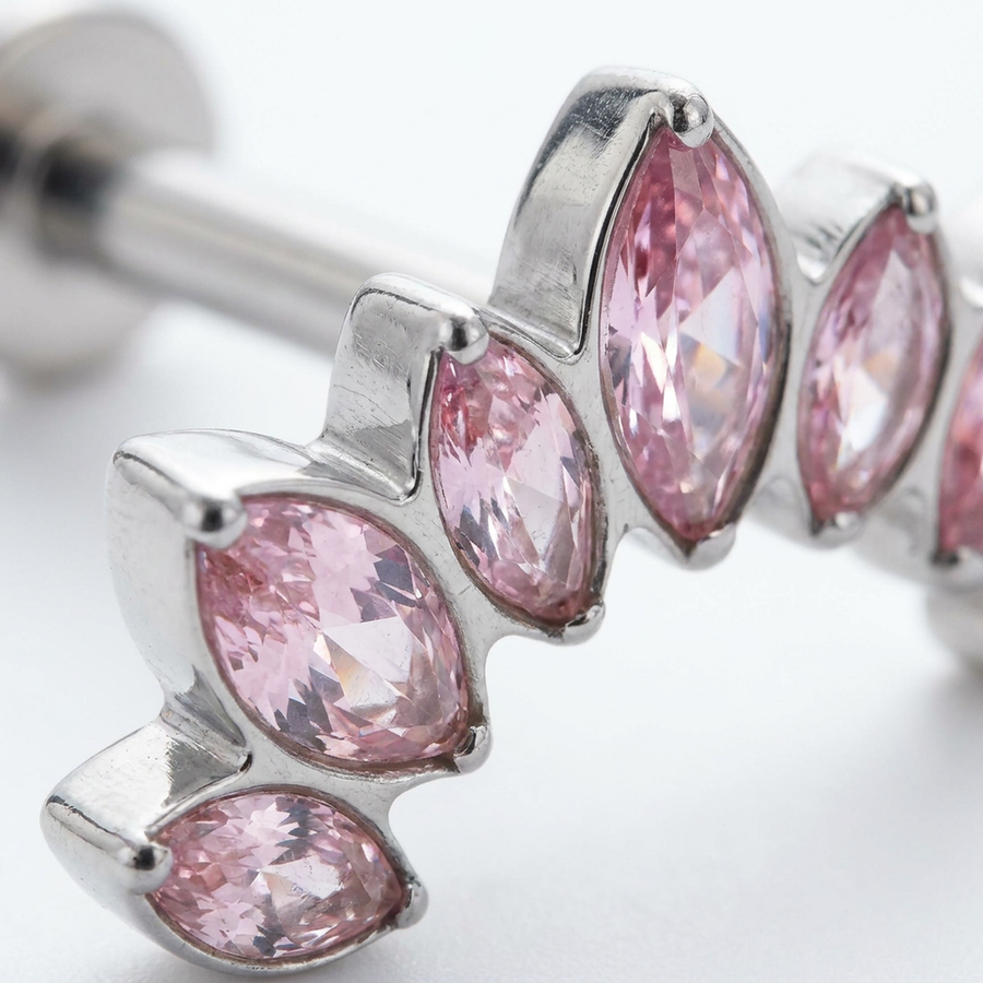 Barretta con corona di zirconi in Titanio - Piercing per orecchio