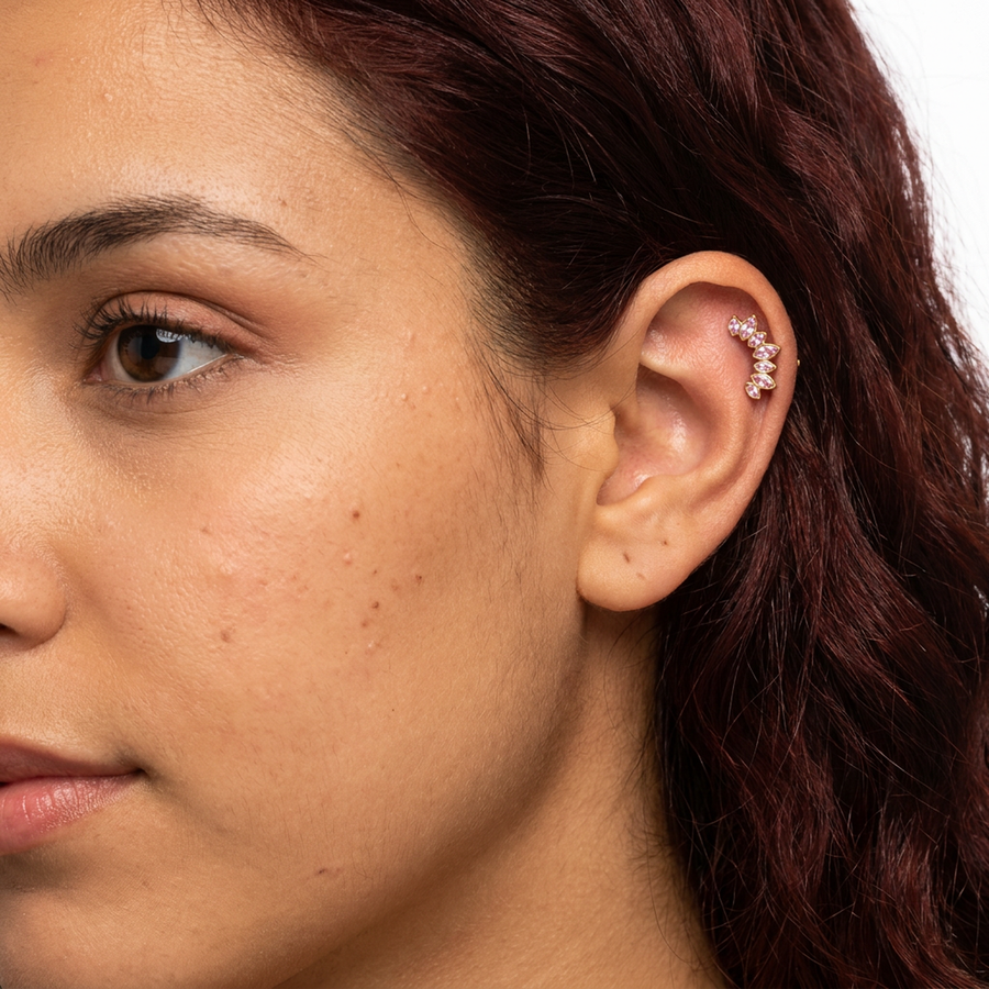 Barretta con corona di zirconi in Titanio - Piercing per orecchio