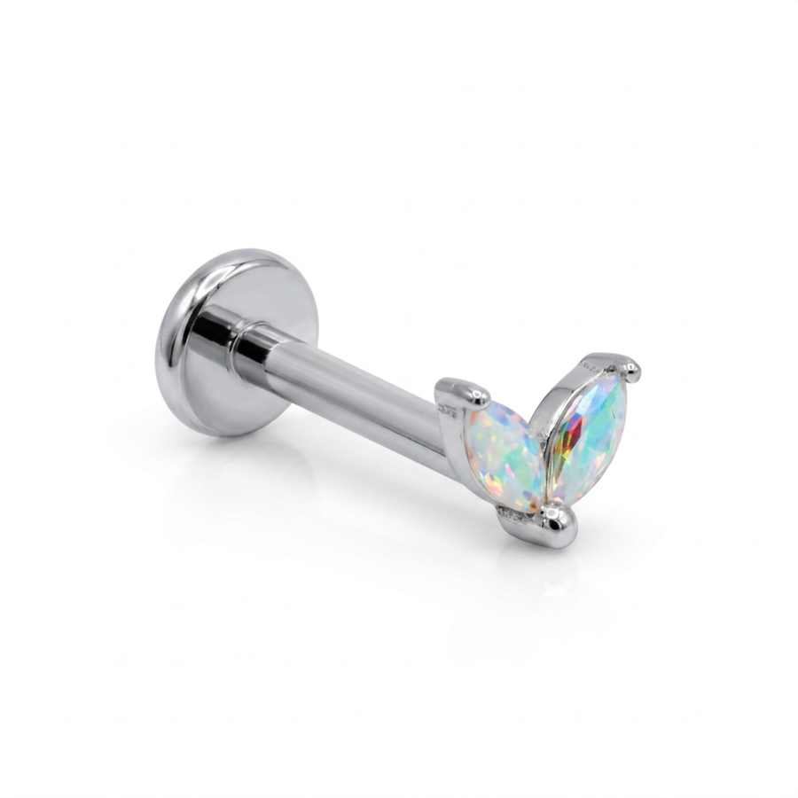 Argento/Aurora boreale