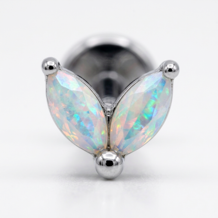 Argento/Aurora boreale