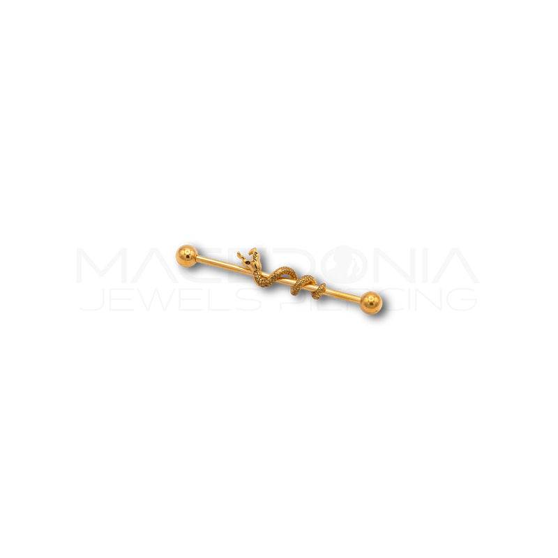 Barbell con Serpente Centrale