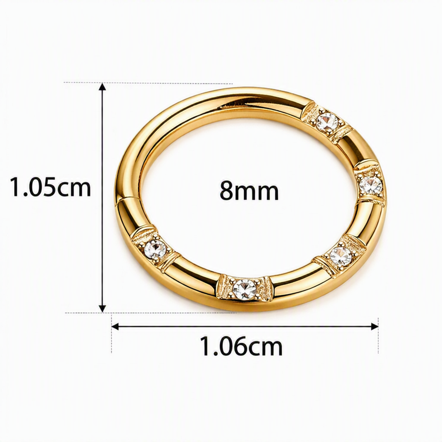 Titanium-body-piercing-ring-studio-photo-2026-09-05-10-22-49-7ccfdc51.png